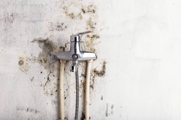 Best Localized Mold Remediation (e.g., coastal areas, humid climates) in Moody Af, GA