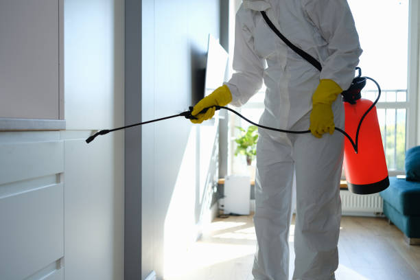 Best HVAC Mold Remediation in Moody Af, GA